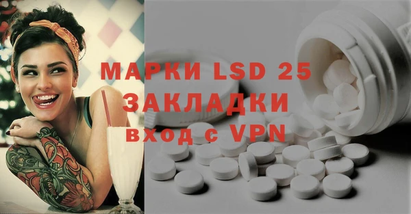 PSILOCYBIN Беломорск