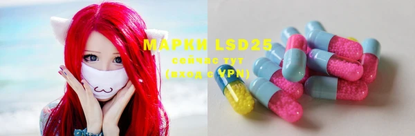PSILOCYBIN Беломорск