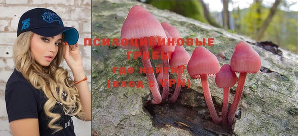 PSILOCYBIN Беломорск